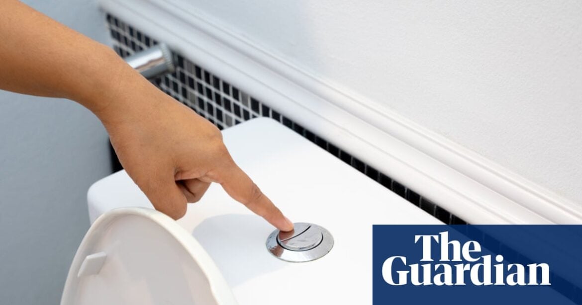 Toilet flushing releases airborne pathogens at adult breathing height