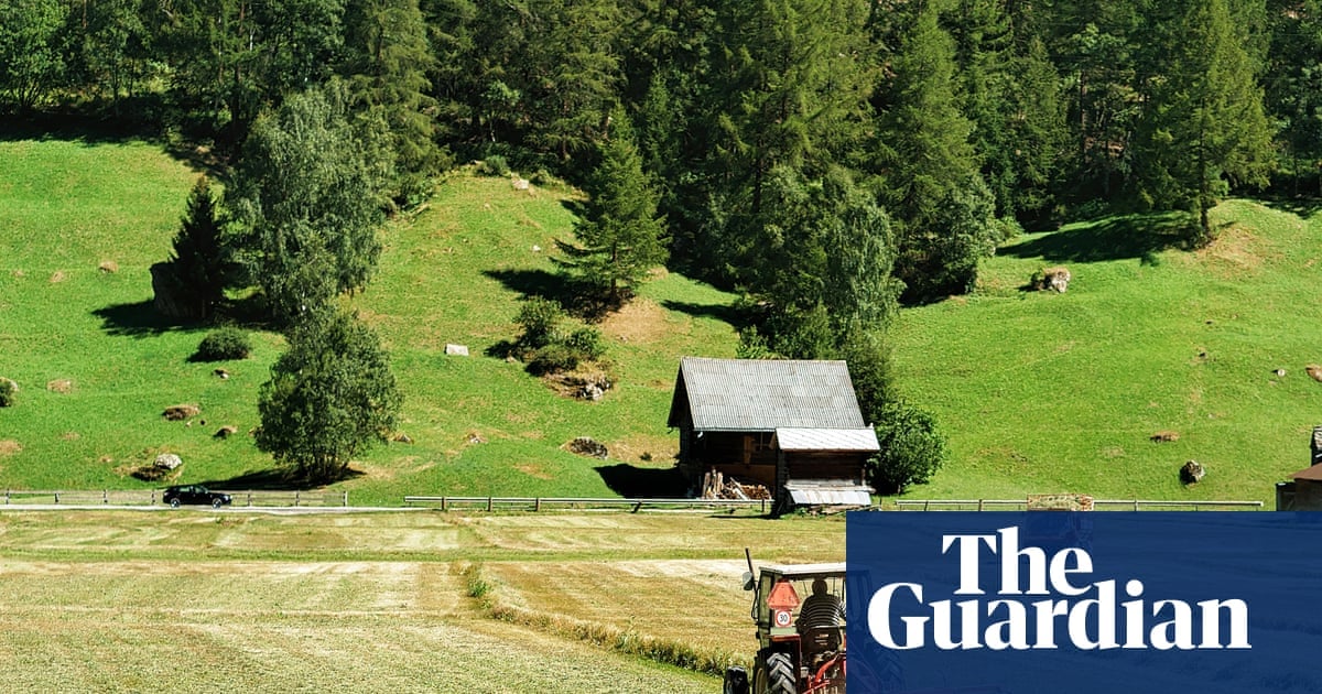 Microplastics in European Soils Act as Toxic Trojan Horses for Crops
