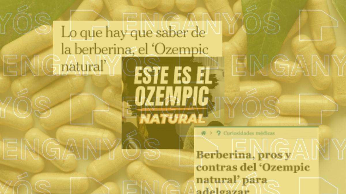 La berberina no es un «Ozempic natural»: cuidado con los mensajes que la promocionan para perder peso