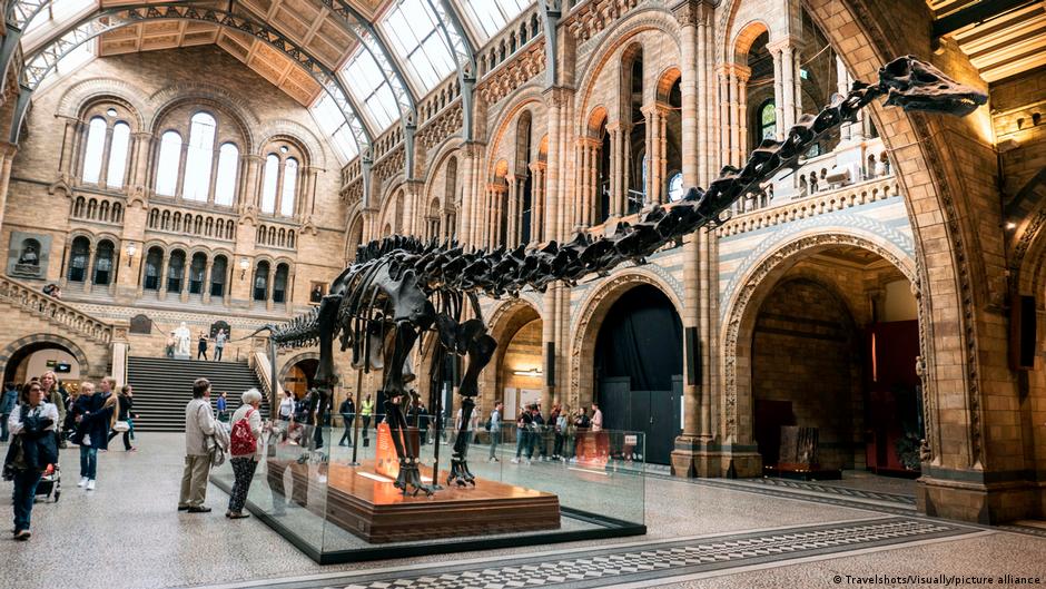 Dippy" the Diplodocus Dinosaur at the Natural History Museum in London, September 29, 2016