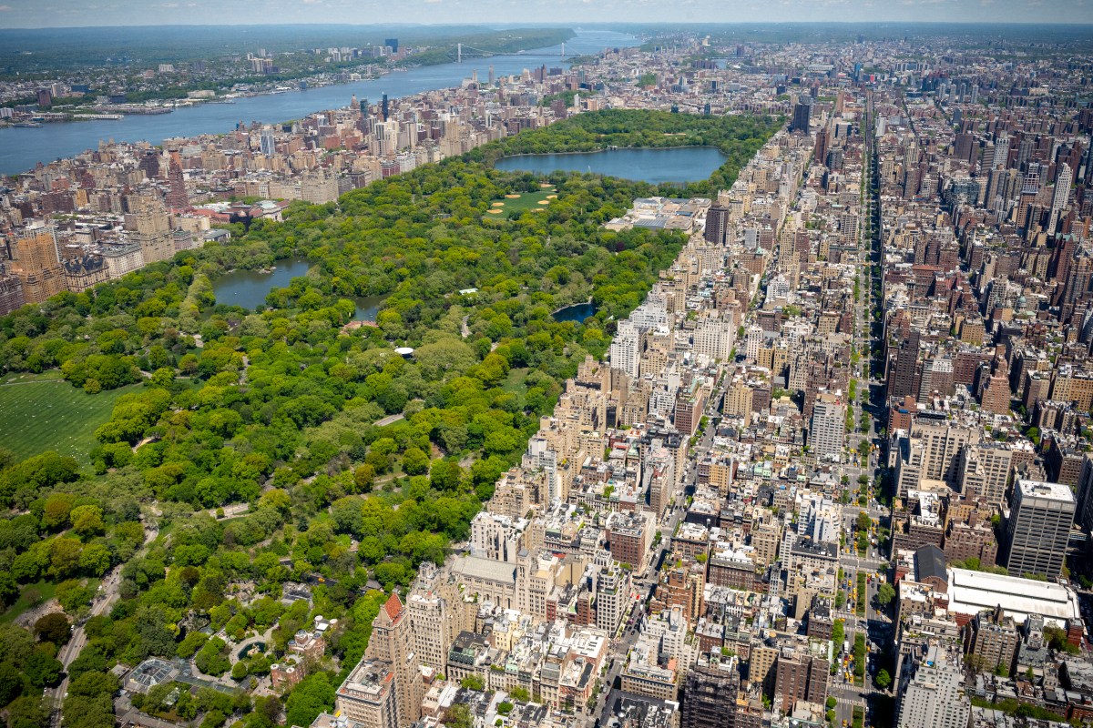 Woman Found Dead With Stab Wounds in Central Park, Investigation Underway - Newsweek featured image