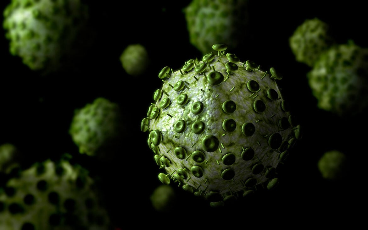 Cancer Drug Venetoclax Reduces SIV Reservoir in Primate Study