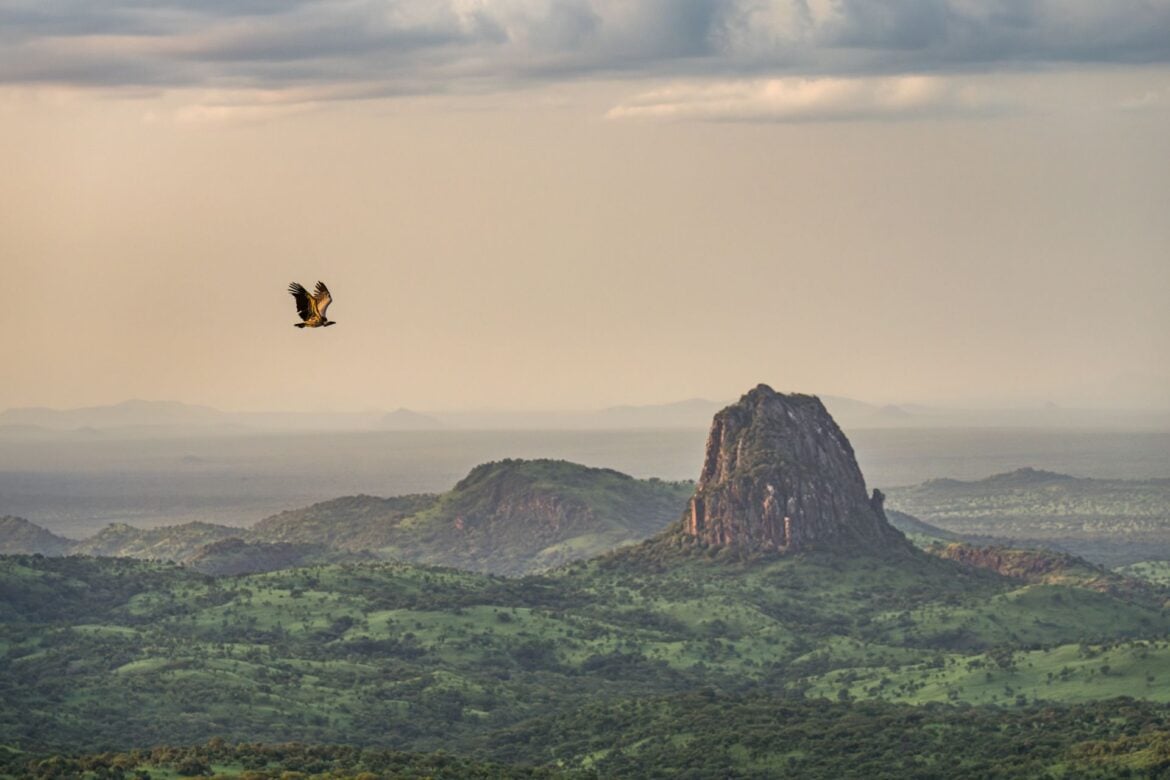 South Sudan UNESCO Park Status to Boost Bird Conservation
