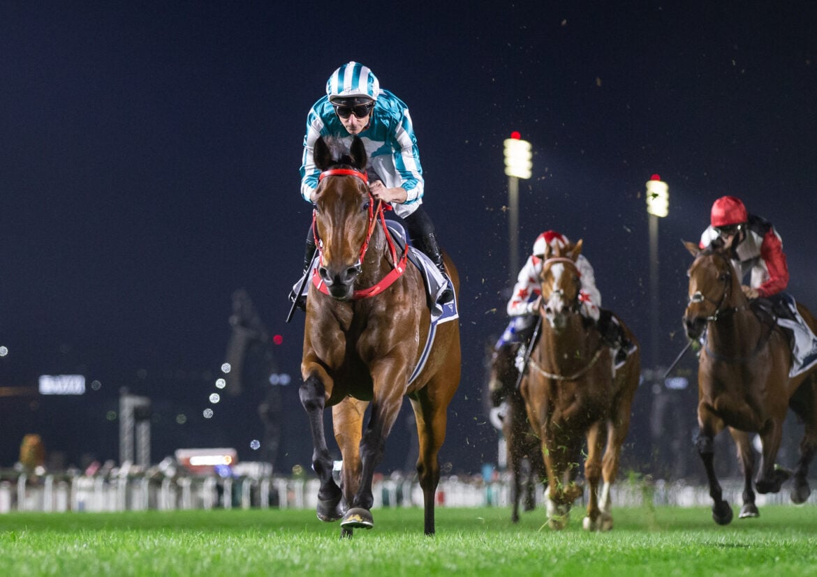 Romantic Warrior Retires as Highest-Earning Racehorse After Leg Injury