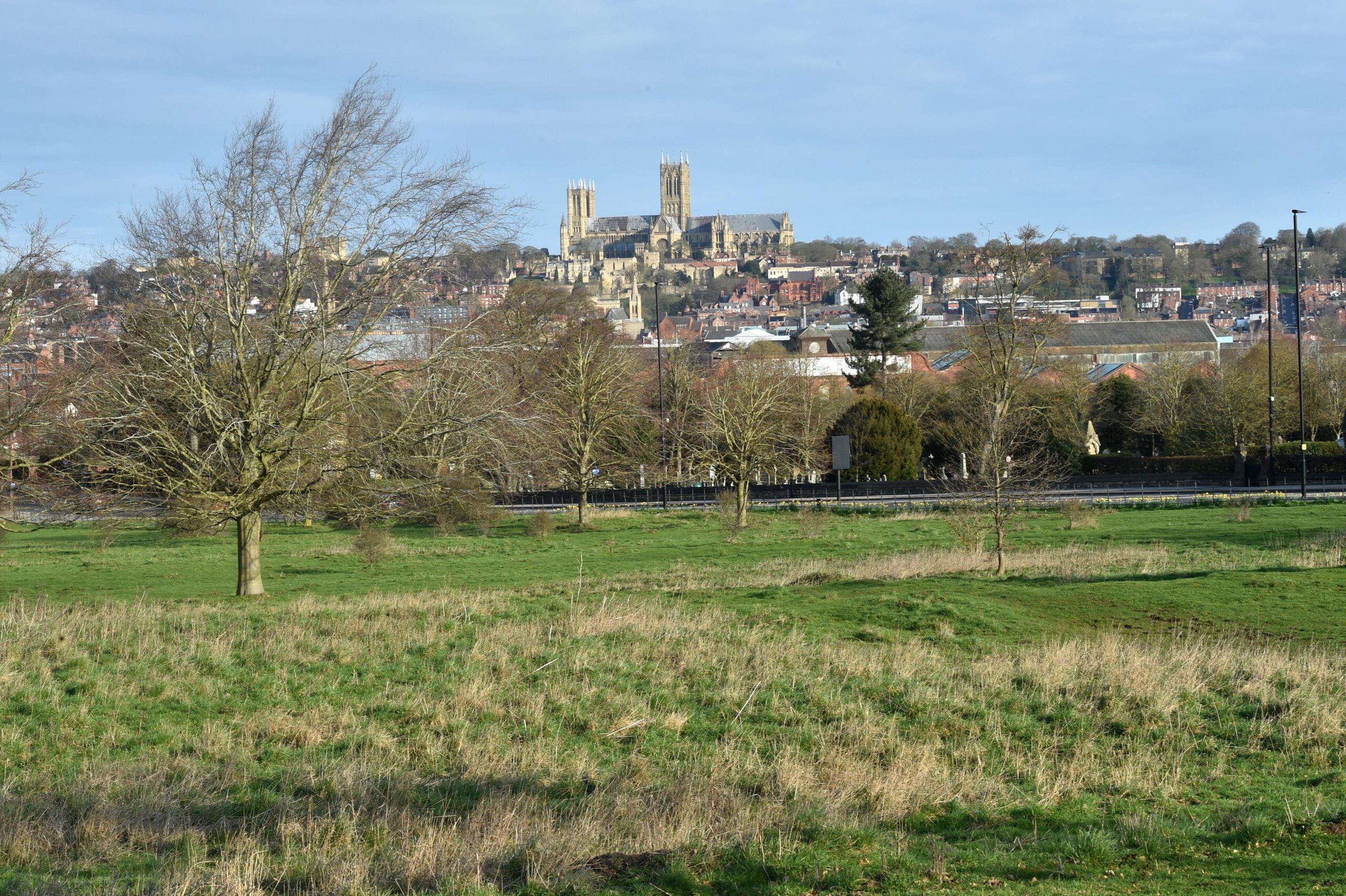 A field is in the forefront with sporadic trees, then there is a row of buildings and houses in the distance with Lincoln