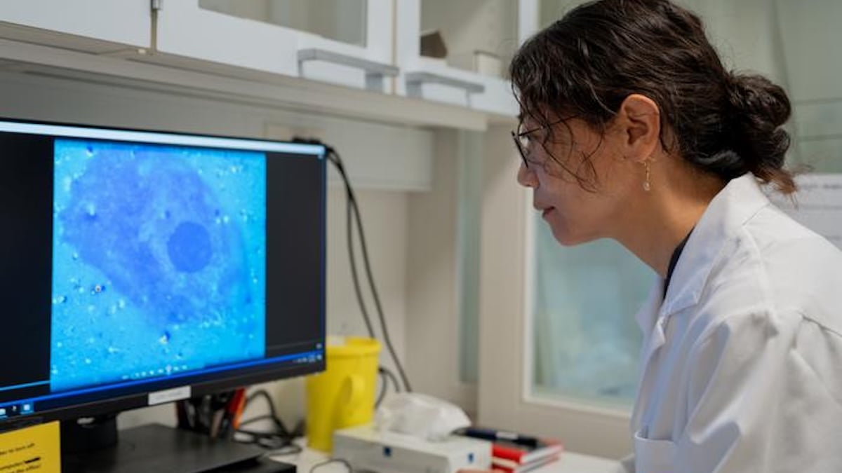 Associate Professor Menglin Chen studies how the light-sensitive nanoparticles affect living cells. The screen shows calcium