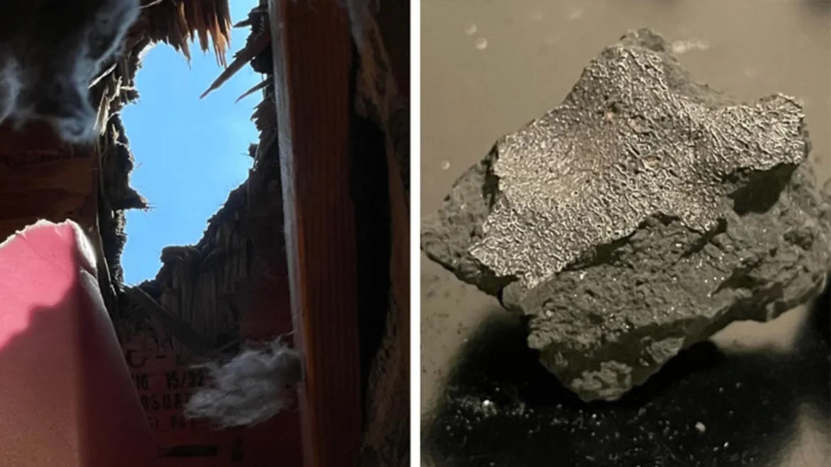 New Jersey Meteorite That Crashed Through Roof Reveals Ancient Salt and Amino Acids