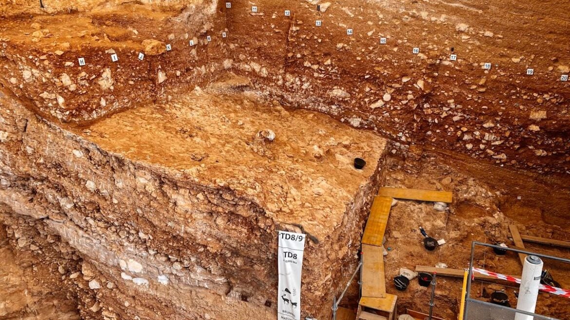 Ireland Cave Art Discovery Suggests First Humans Crossed From Wales