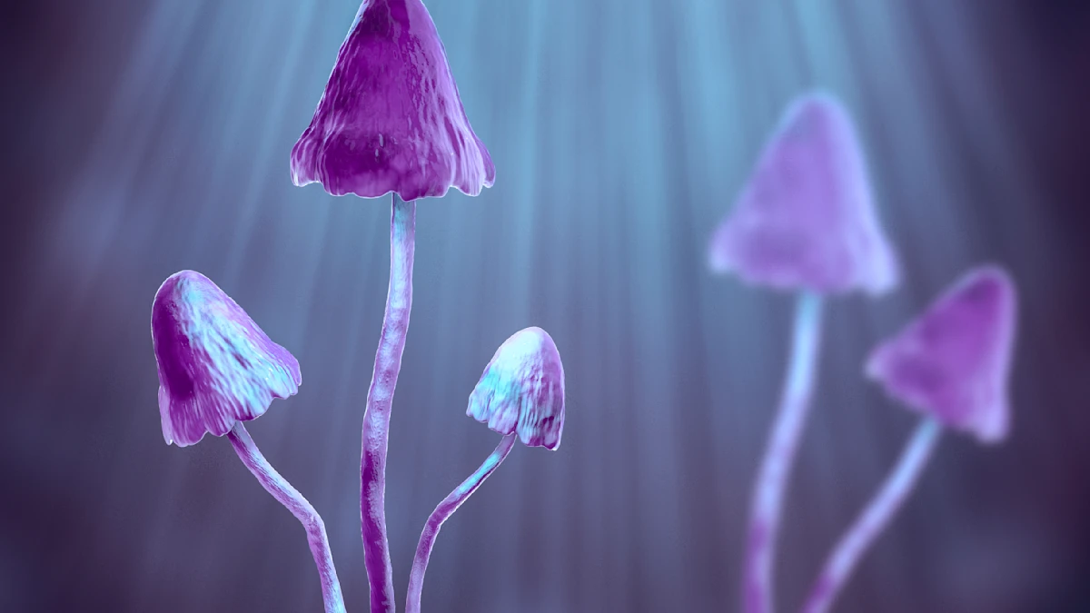 Psilocybin May Prevent Chemotherapy-Induced Nerve Damage, Study Finds
