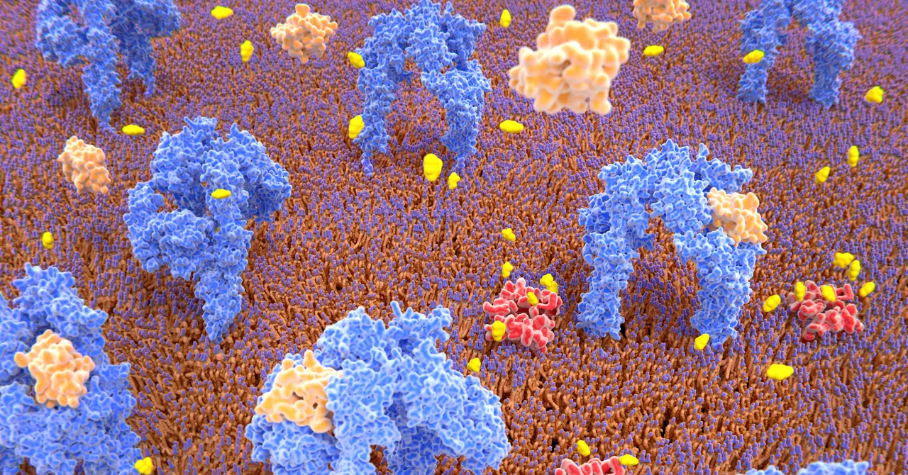 Harvard Researchers Find Genetic Switch to Create Insulin-Producing Cells