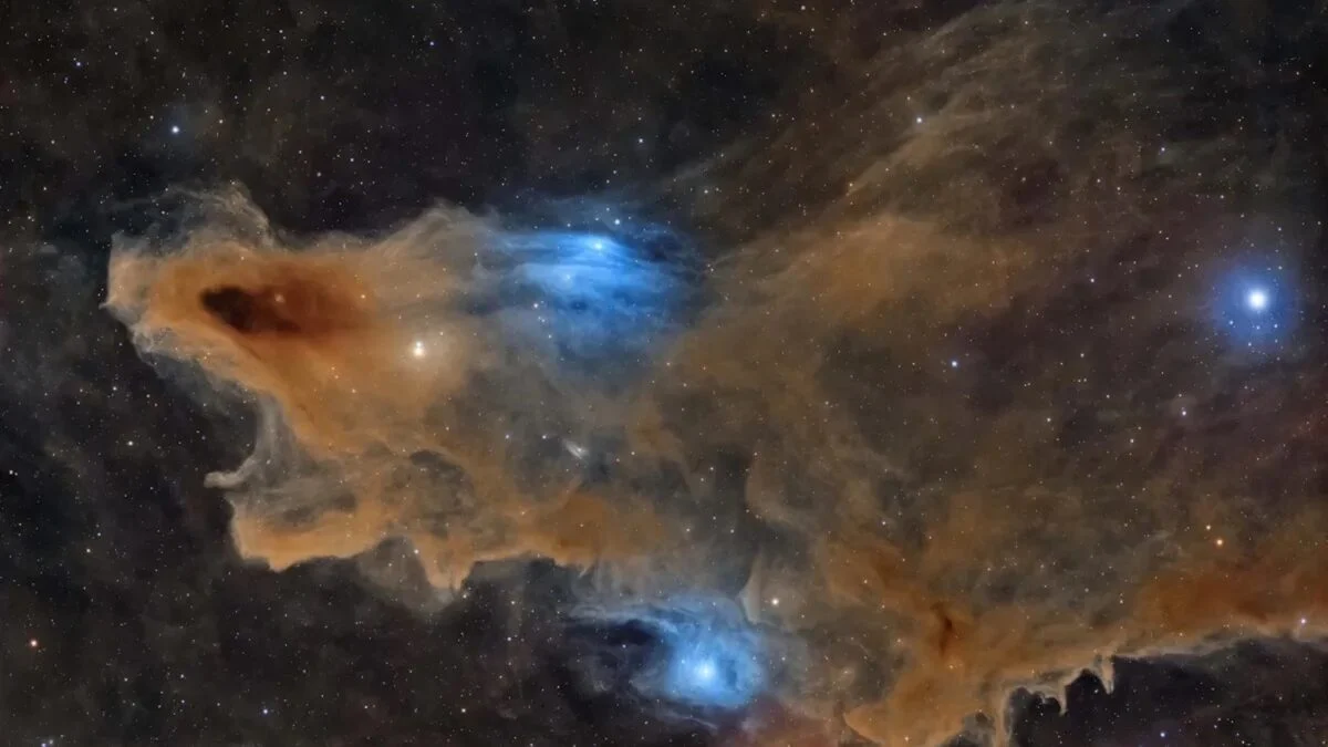 Shark Nebula Photo Wins Astronomy Photographer of the Year Award