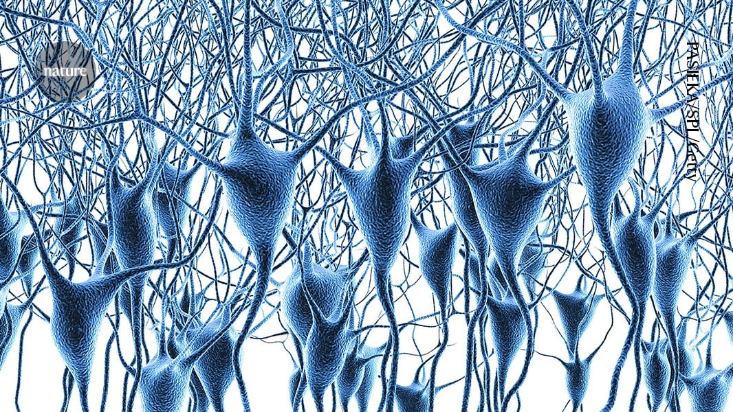 Largest Human Brain Gene Map Created to Aid Alzheimer's and Psychiatric Research