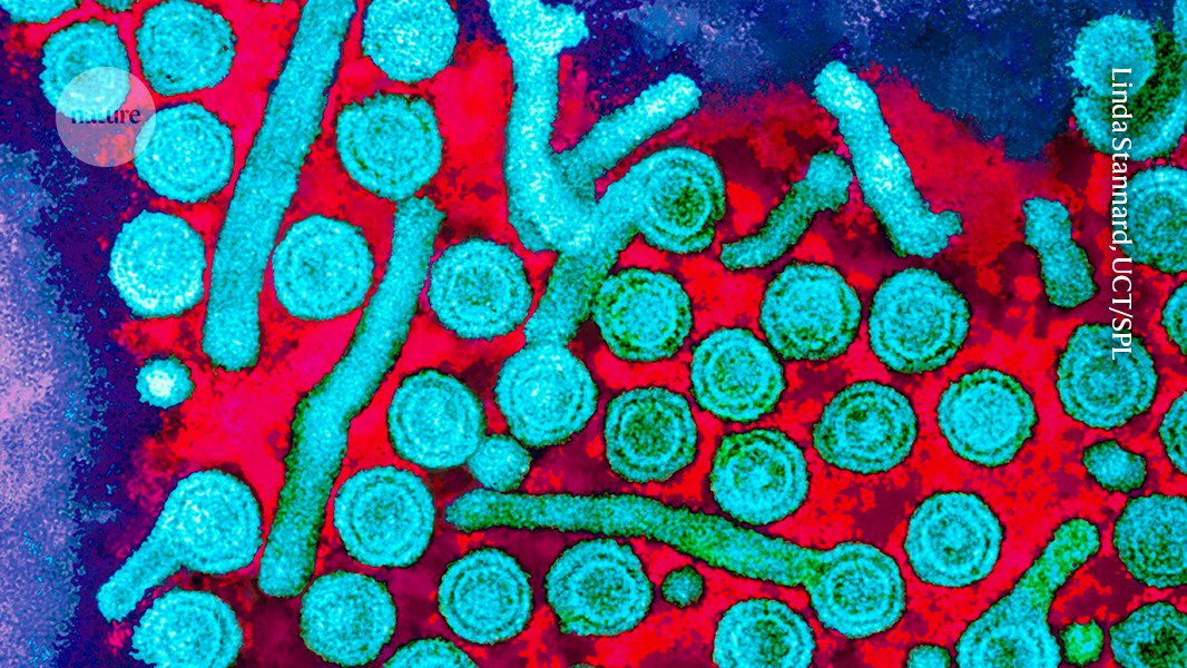 Researchers Discover Human Gene Element in Poxvirus