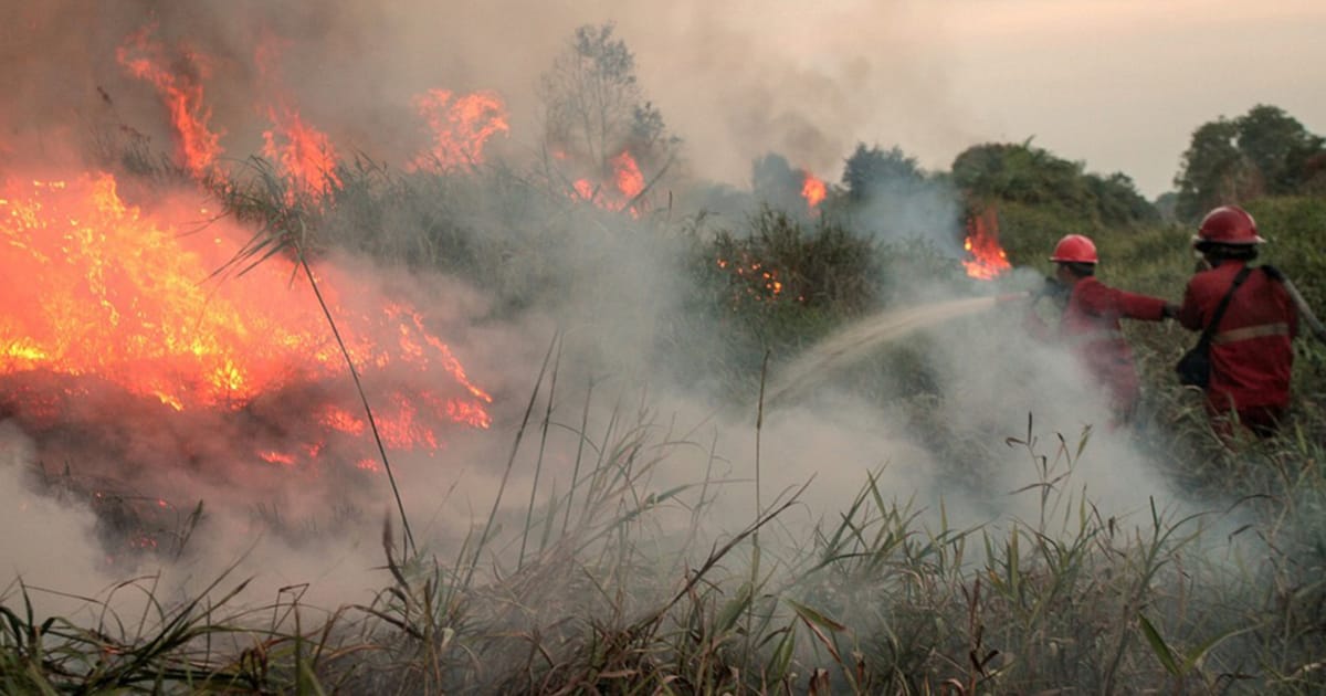 Indonesia forest fire