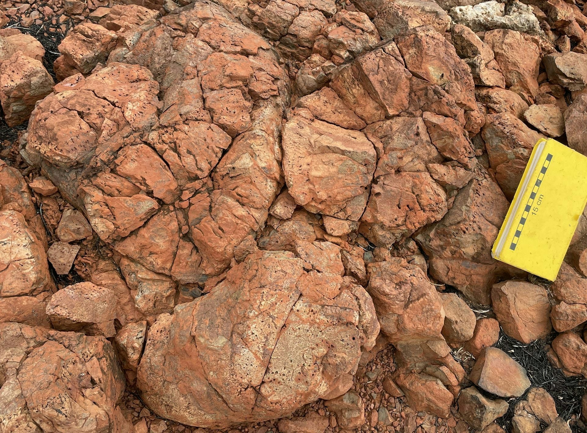 Ancient rocks from Western Australia suggest Earth was already dragging surface water into its mantle and using it to generat