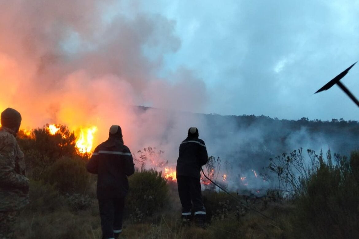 Mount Kenya Wildfire 85% Contained After Moorland Blazes