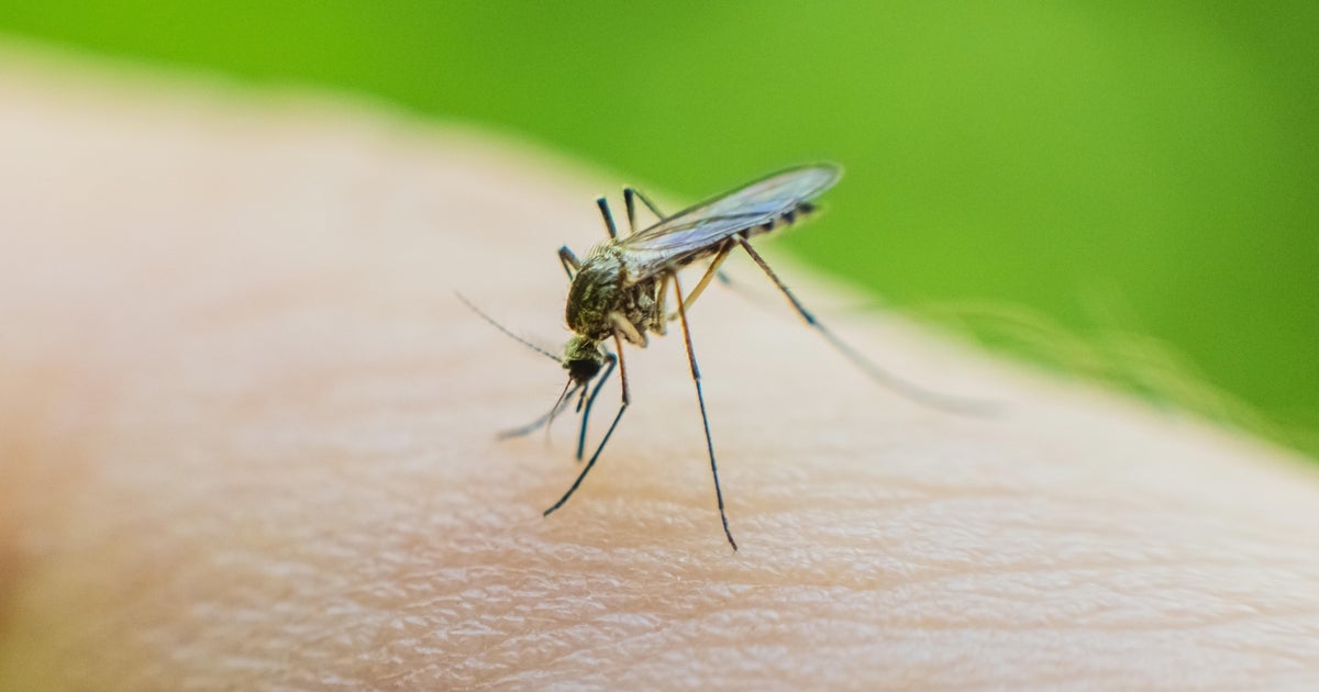 West Nile Virus Cases Soar in LA