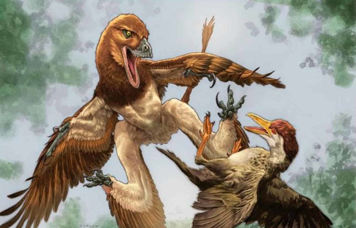 Researchers Find Ancient Bird Feathers Inside Fossilized Dinosaur Dung