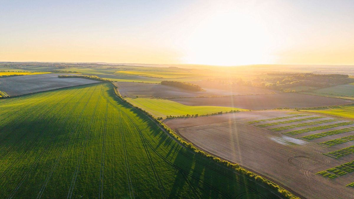 English Farmers Miss Out as £233m Green Funding Runs Out in Six Hours