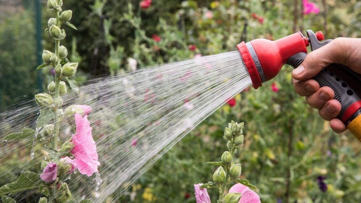 UK Drought: Hosepipe Bans Affect 30 Million Across England and Wales