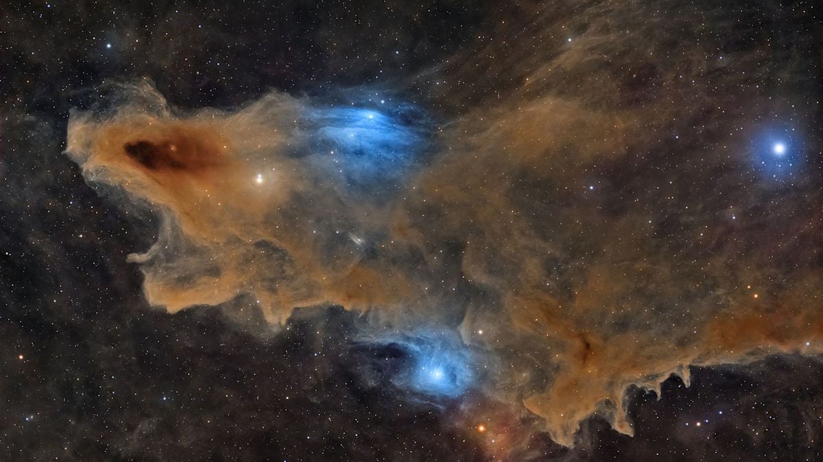 Winners of the 2026 ZWO Astronomy Photographer of the Year