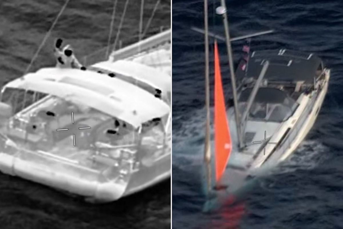 Four Sailors Rescued After Yacht Tai Tam Sinks Following Whale Collision