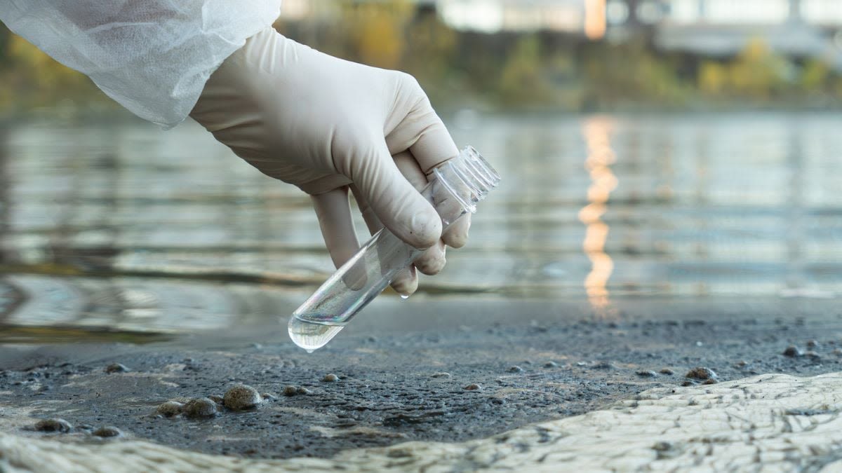 Banned Flame-Retardant Chemicals Still Contaminate Europe's Ecosystems