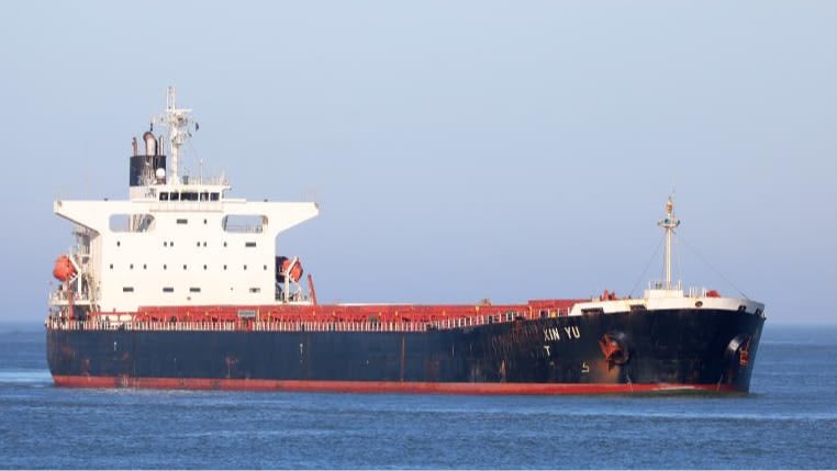 Baltic States Consider Russian Grain Transit Ban Amid Black Sea Crisis