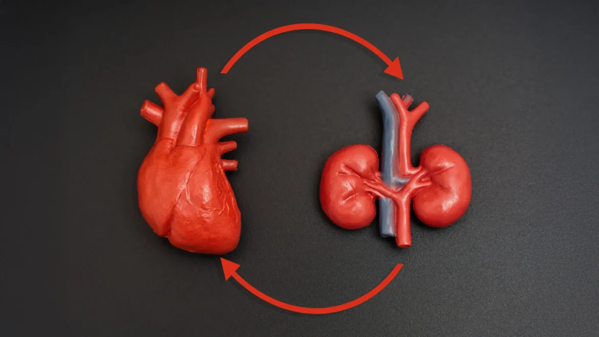 ESC and ERA Launch New Guidelines to Combat Heart and Kidney Disease Loop