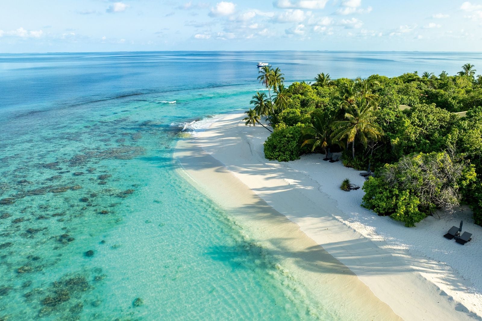 Researchers Use AI and Photogrammetry to Monitor Maldives Coral Reefs