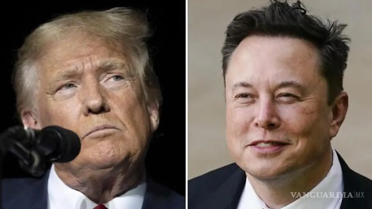 Elon Musk Projects AI Will Transform Workforce and Bring Era of Abundance