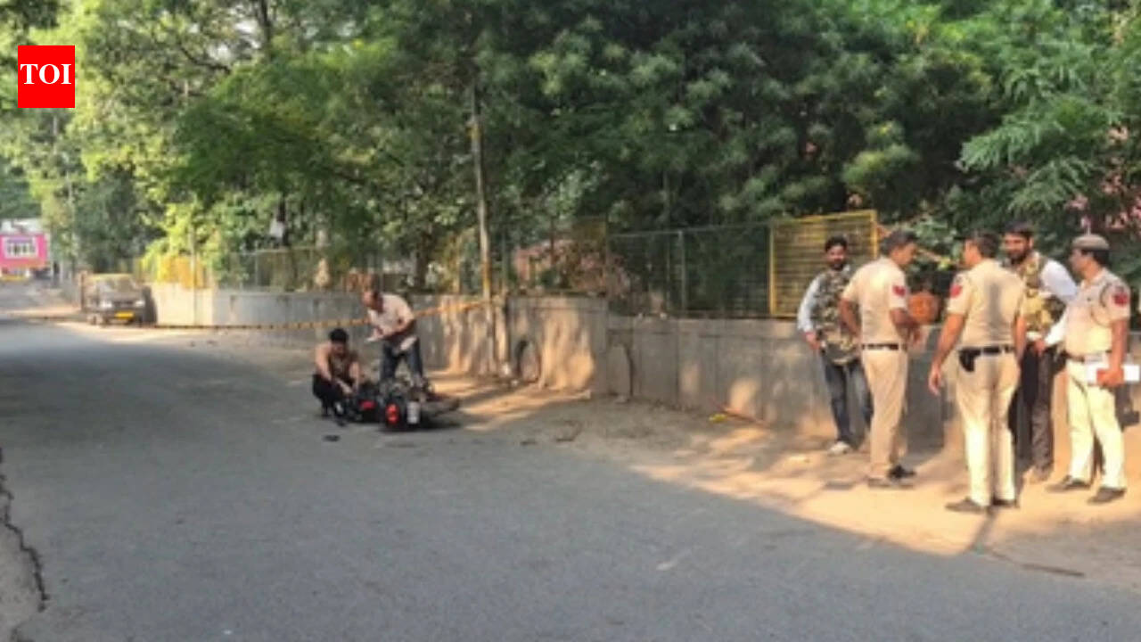 Delhi Teen Gang-Raped by Fake Cops in Park; One Suspect Arrested