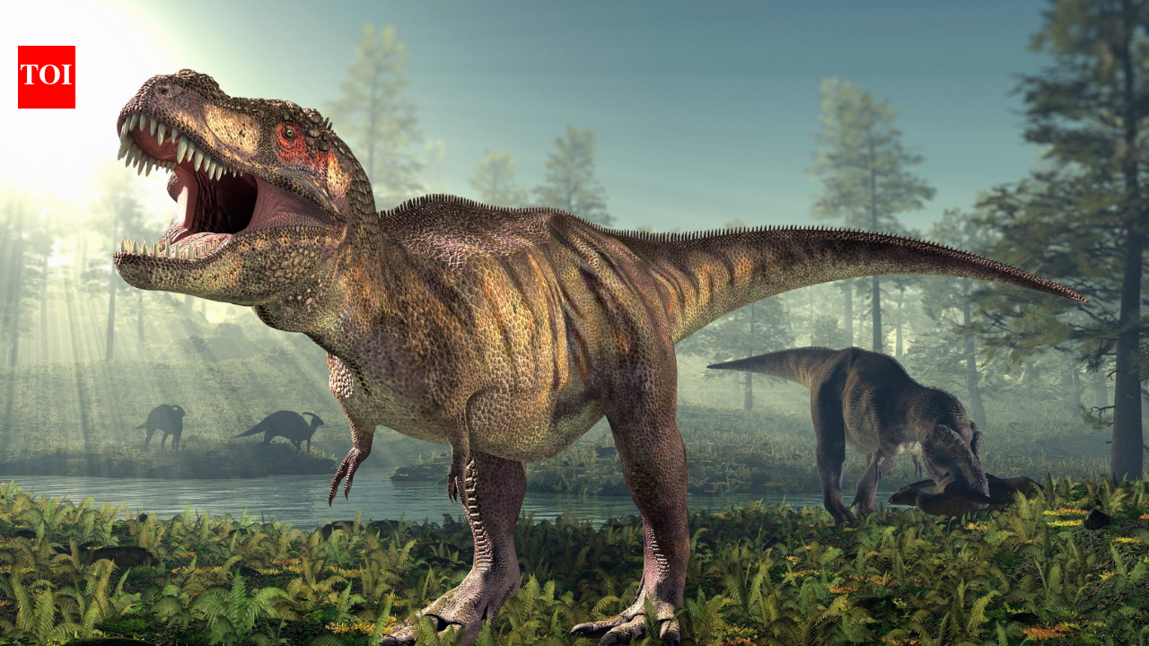 T. rex Footprints in North Dakota Reveal First Adult Walking Trackway