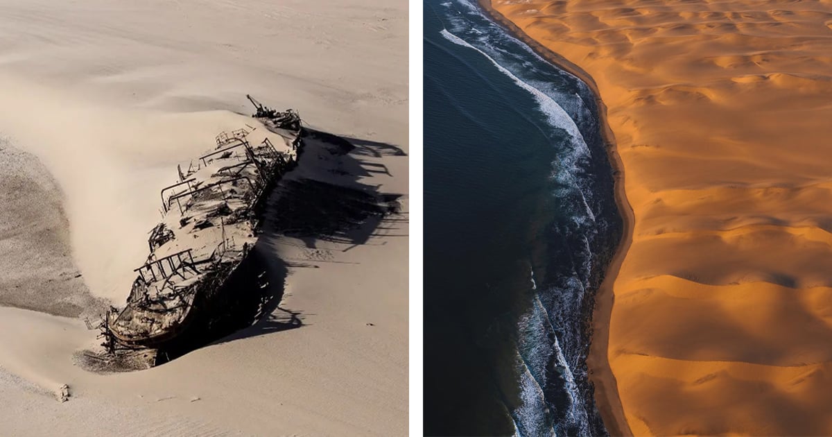 Namibia's Skeleton Coast: A 500km Stretch of Shipwrecks and Enduring Wildlife