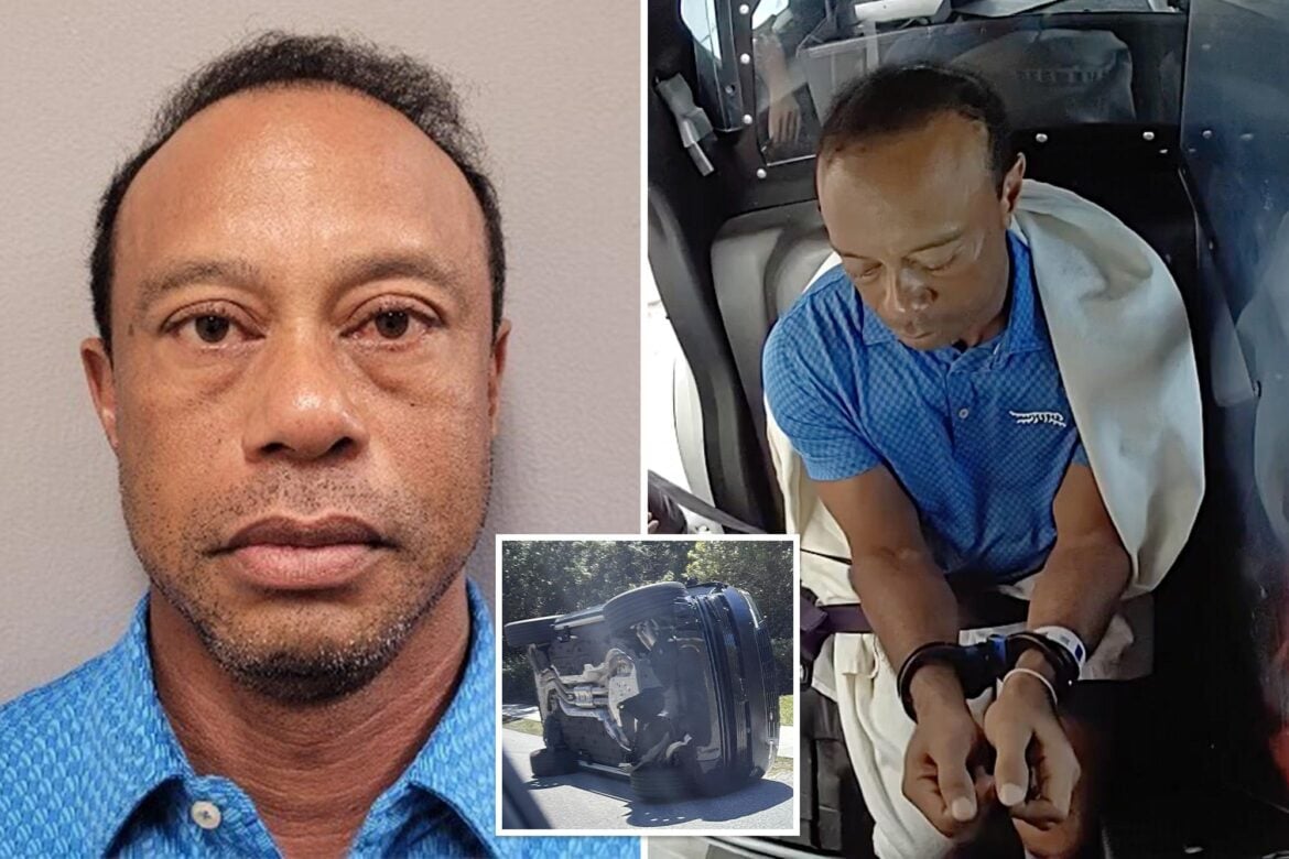 Tiger Woods to change plea in Florida DUI case