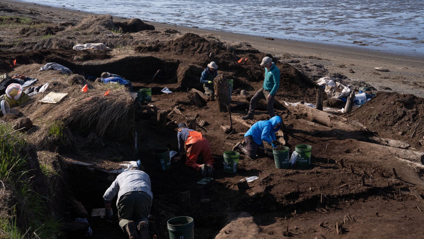 An Alaska storm scattered artifacts. Archaeologists salvage the Bering Sea claims the site