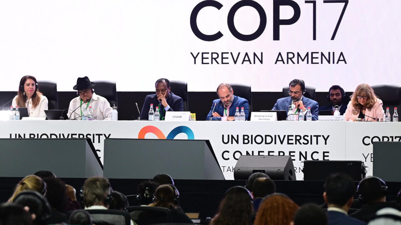 Global nature talks reach deal but funding remains an issue