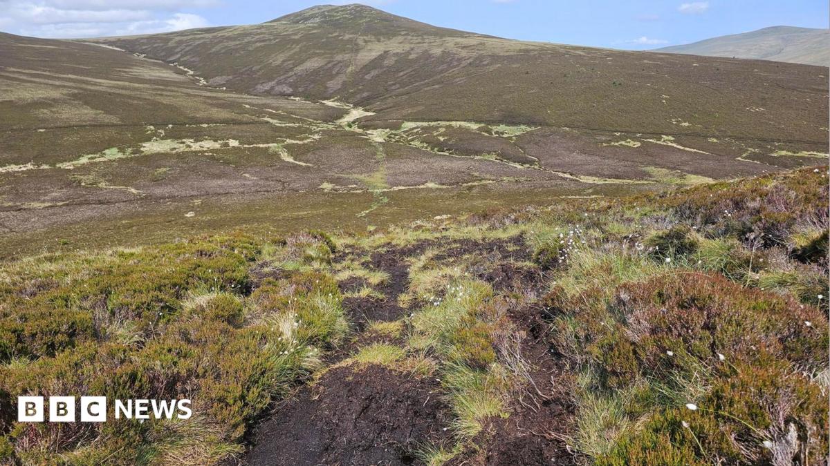 Cumbria Wildlife Trust Starts Skiddaw Peatland Restoration