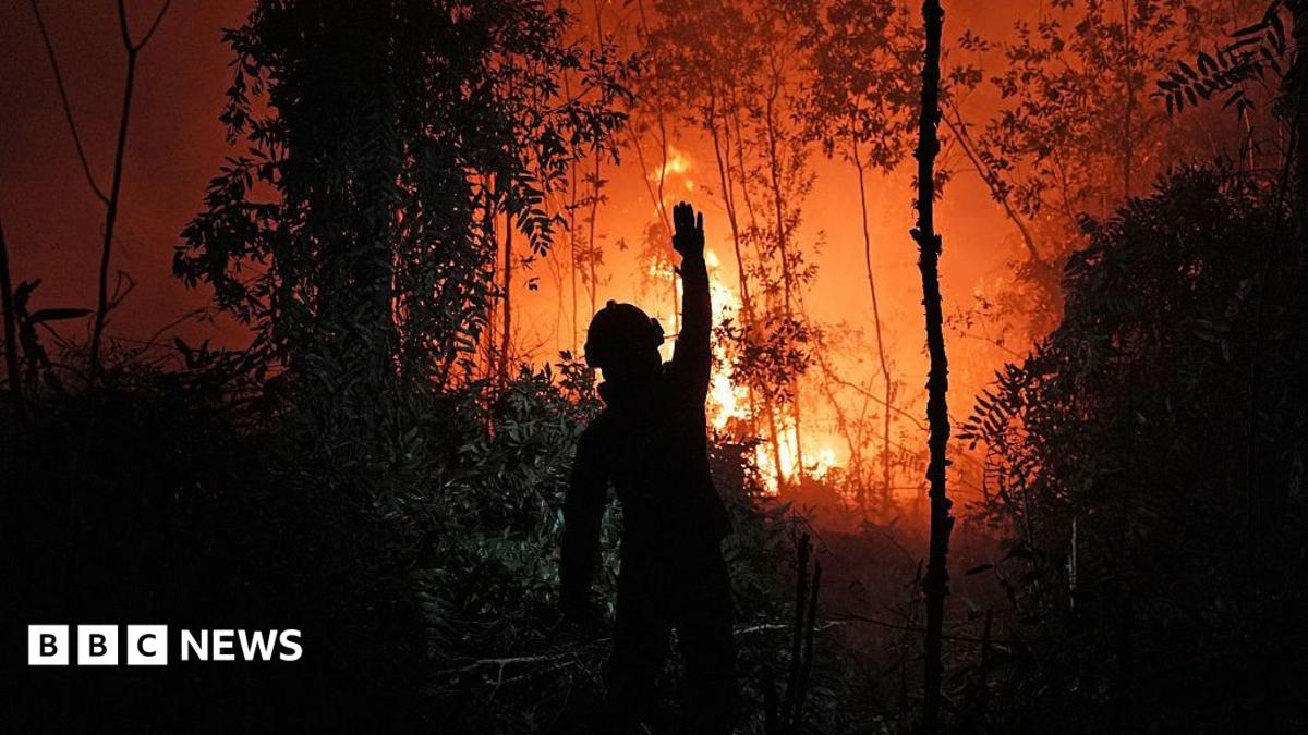 A man stands by a wildfire in Indonesia at night, silhouetted by the flames, with his arm up