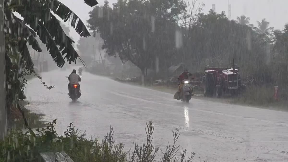 Chennai Meteorological Centre Forecasts Rain for Tamil Nadu Until Oct 8