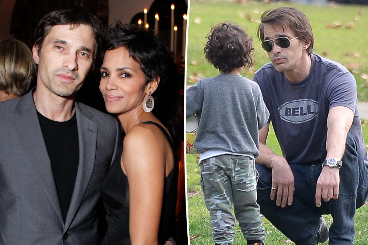 Olivier Martinez Granted Temporary Custody After Accusing Halle Berry of Abuse