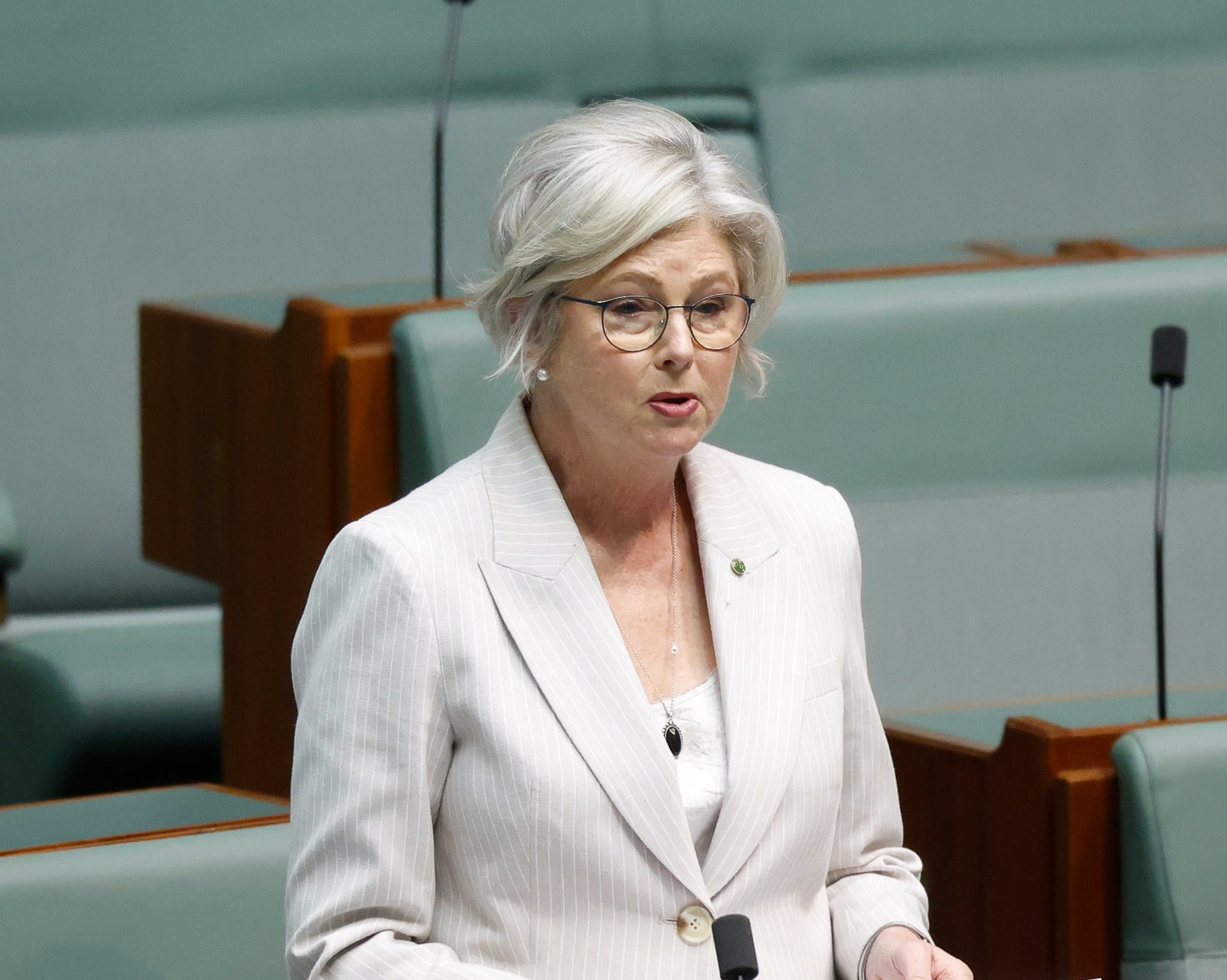 Helen Haines Critical After Vehicle Attack in Wangaratta
