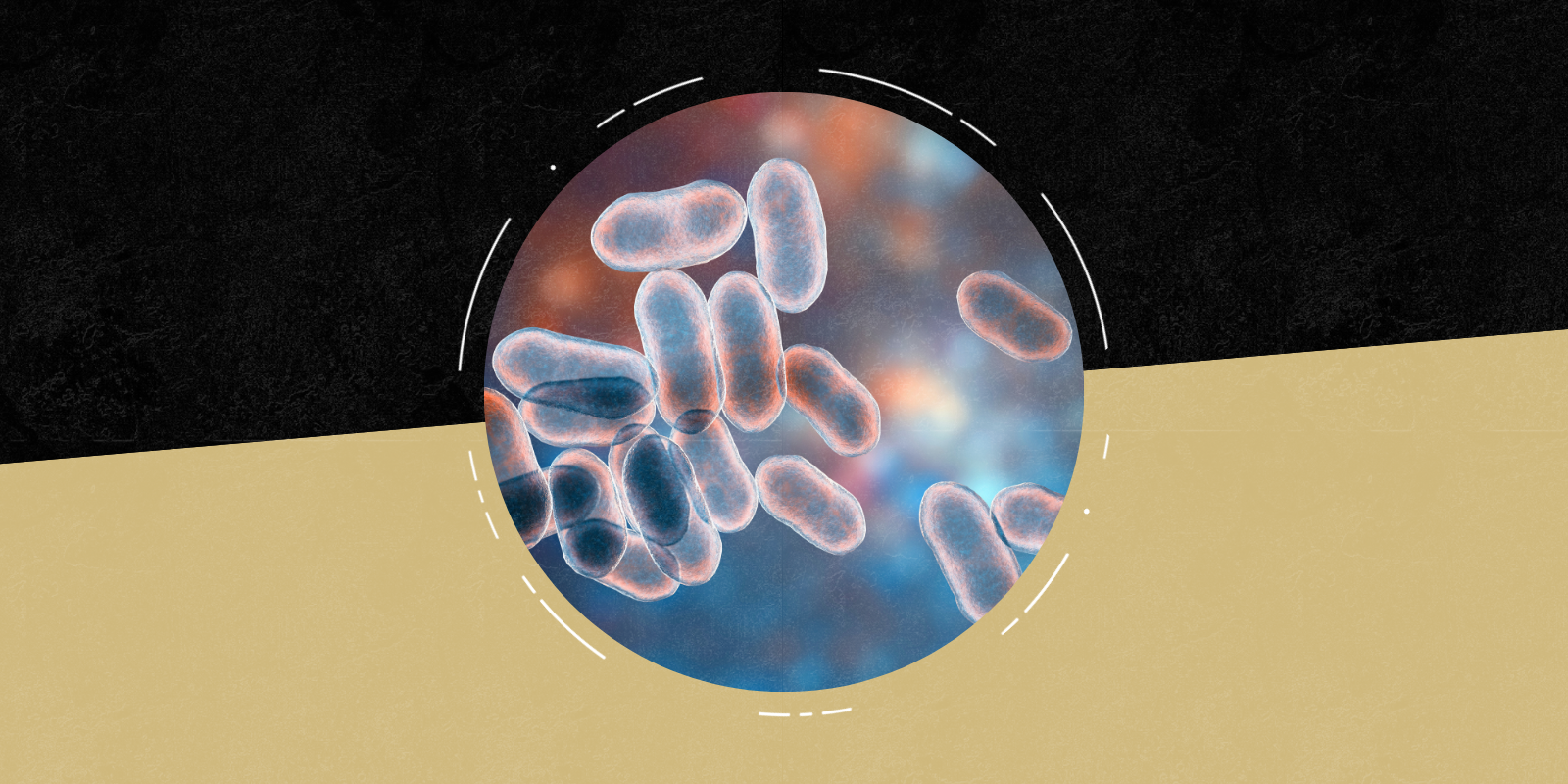 Mouth Bacteria May Help Lungs Fight Pneumonia, Study Finds