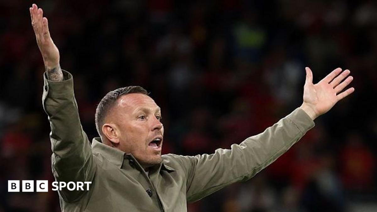 Craig Bellamy throws his hands in the air during Wales' defeat to Denmark
