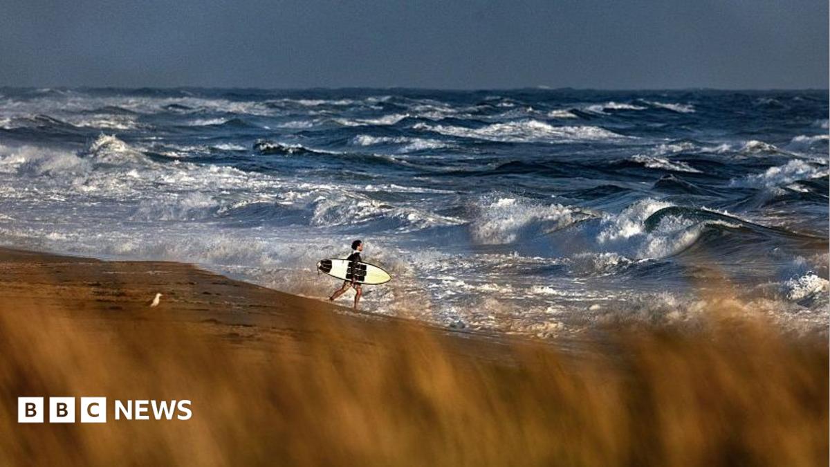 A man carries a surfboard on a beach