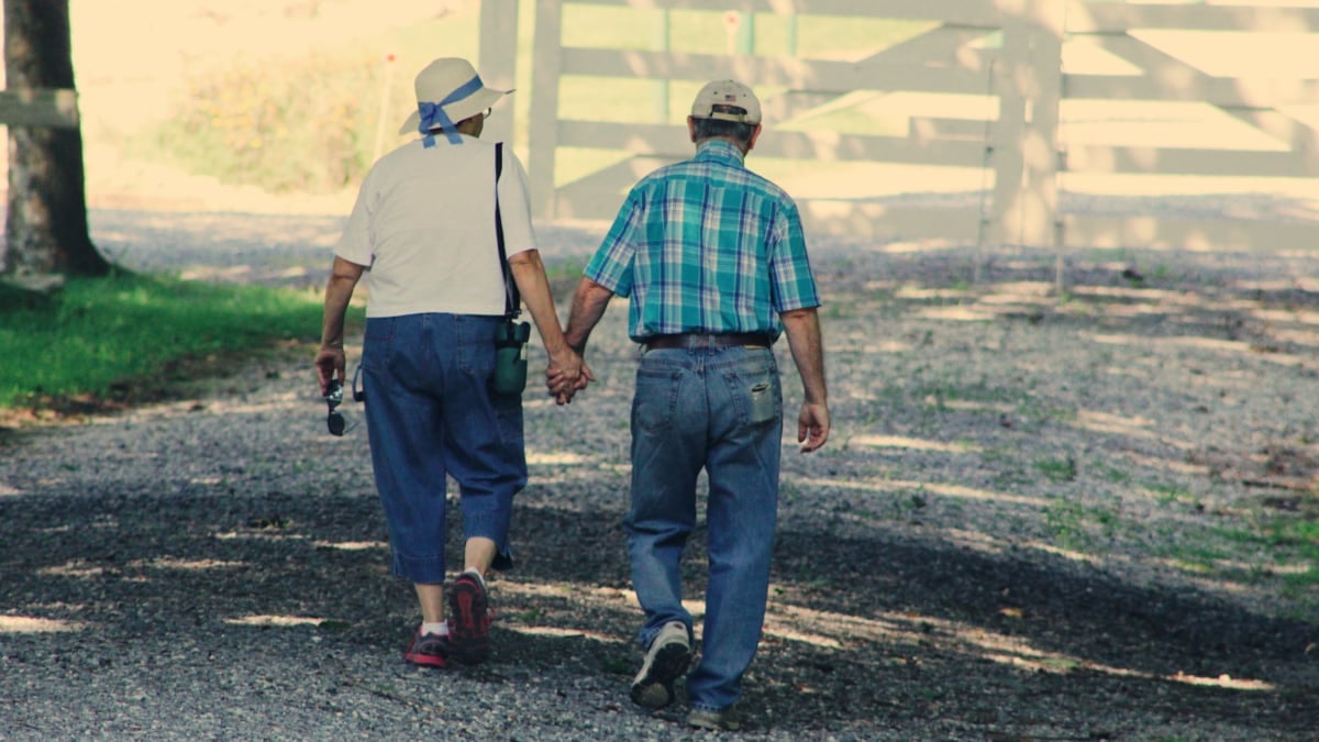 WHO Reports Global Life Expectancy Recovers Near Pre-Pandemic Levels