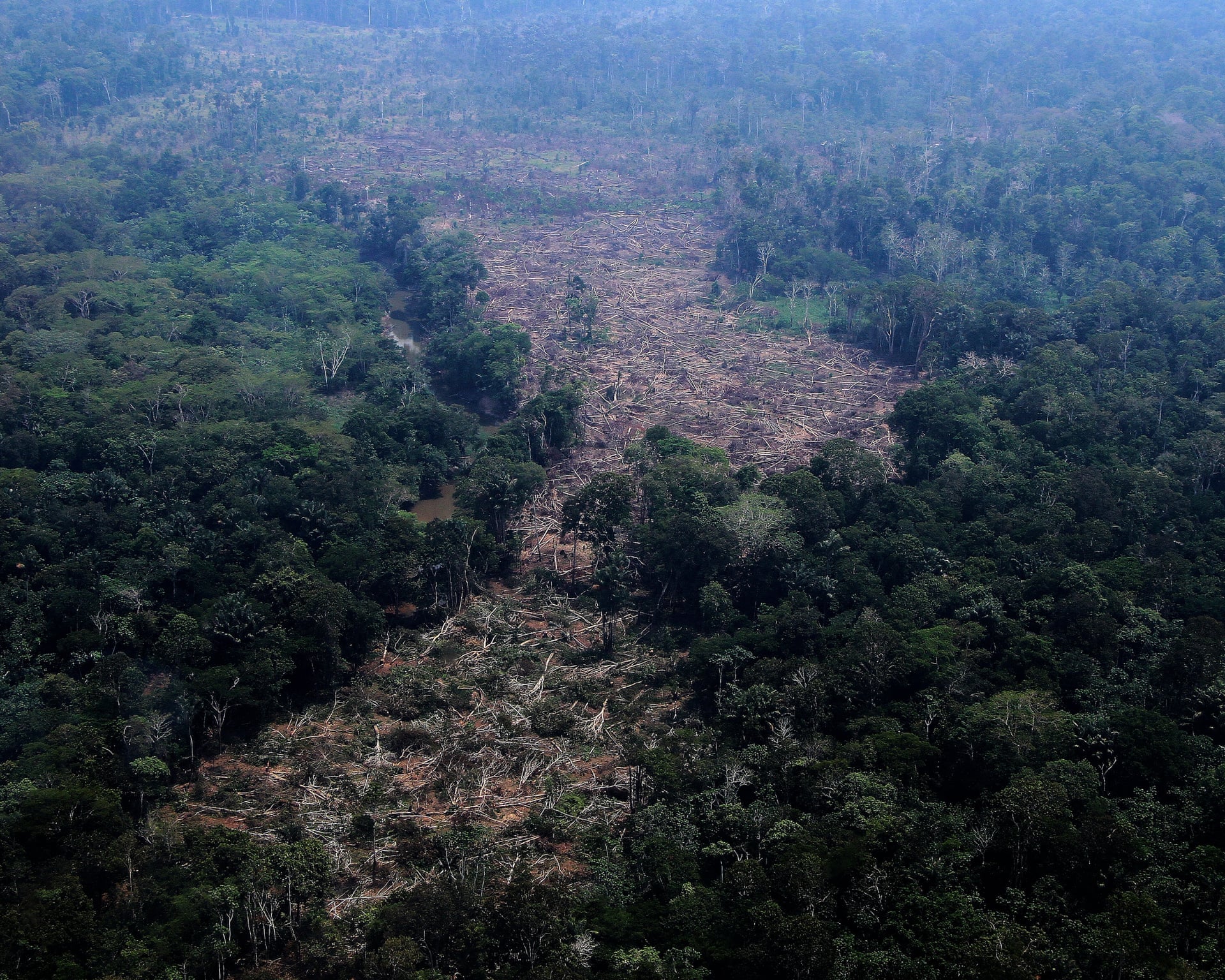Brazilian Amazon Deforestation Drops to Lowest Level Since 1988