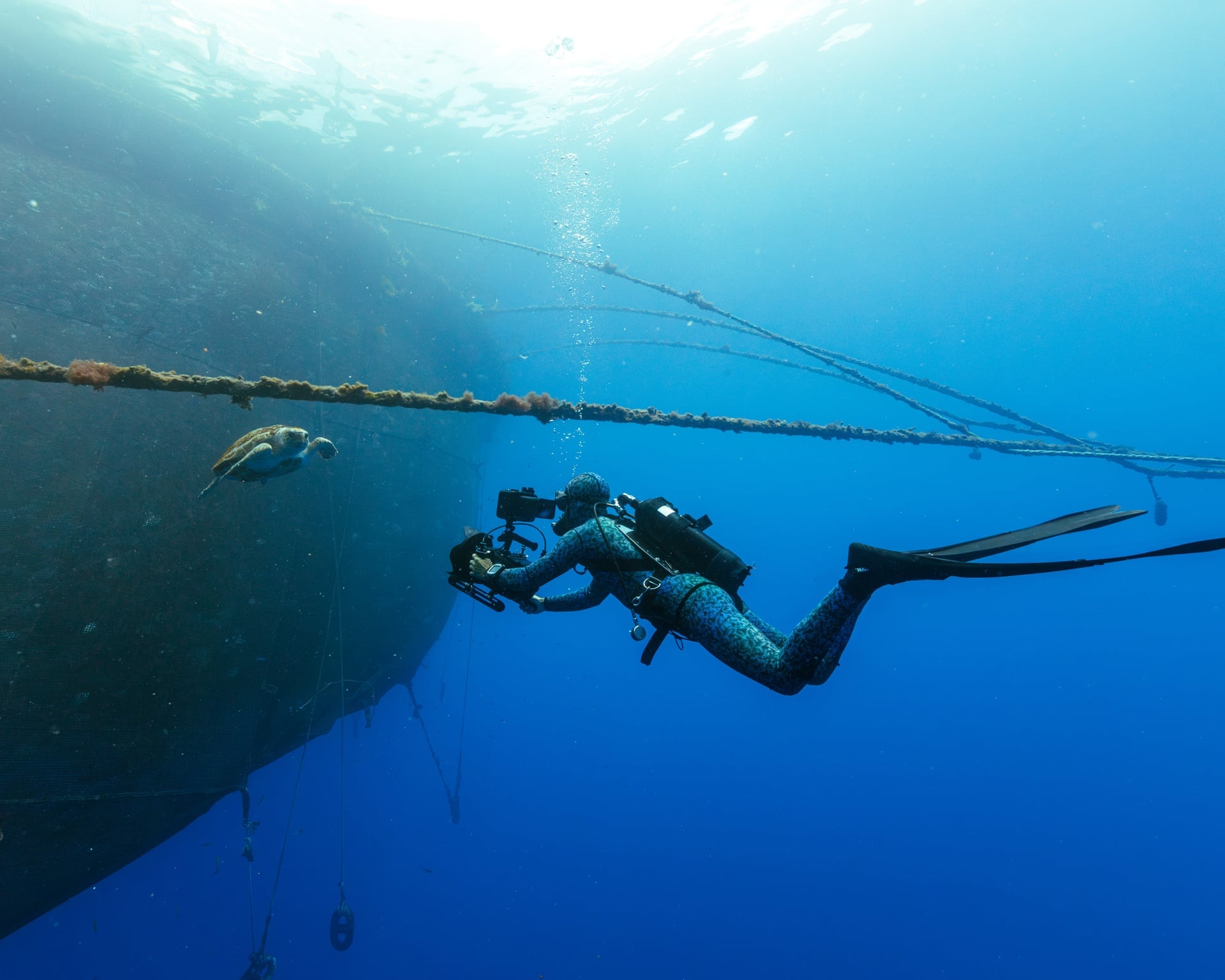 Blue Planet III Keeps Murky Footage to Prove No AI Was Used