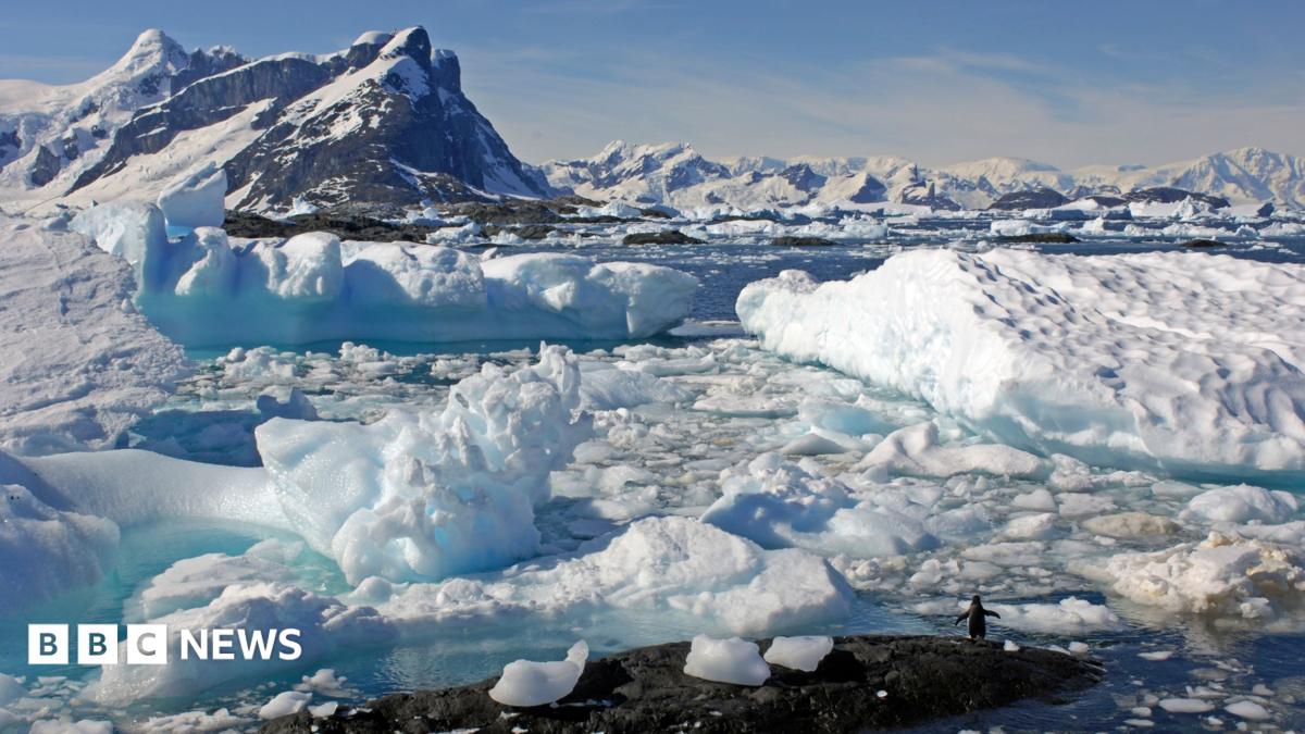 View of icebergs on the Antarctic Peninsular. There is a large dark mountains on the left hand side of the image, and a more