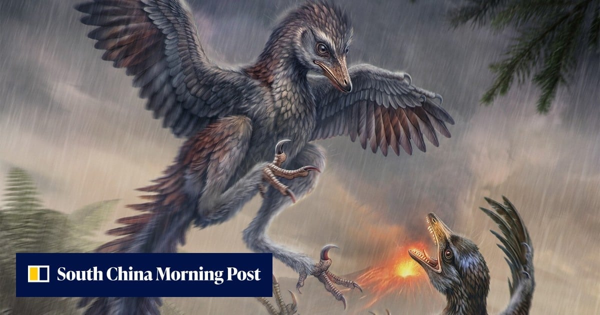 Chinese Fossil Reveals First Known Flightless Bird of Late Jurassic